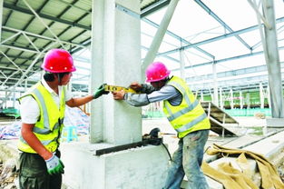 白云農(nóng)創(chuàng)共享農(nóng)副產(chǎn)品批發(fā)中心預(yù)計(jì)年底投用，建筑施工進(jìn)展順利